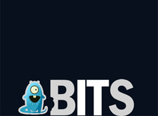 BITS – Company profile