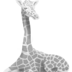 Schoolism lesson 1 Schoolism lesson 1